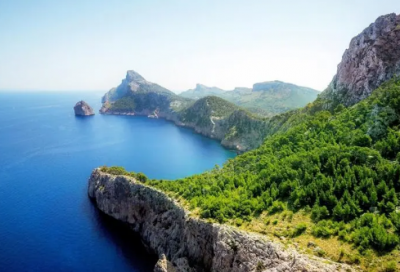 ​保护动物的广告词