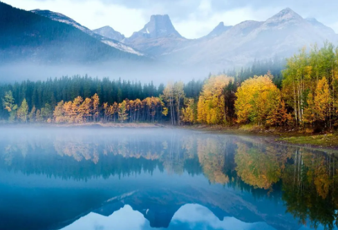 1717225999471008.png image.png