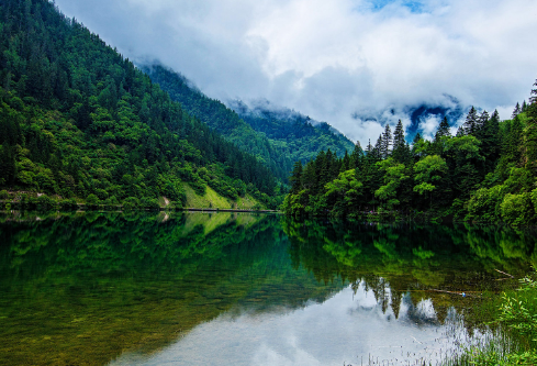 1717226165933082.png image.png