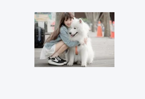 1768714957485362.png image.png